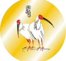 朱鹮图片