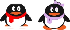 QQ宠物企鹅图片