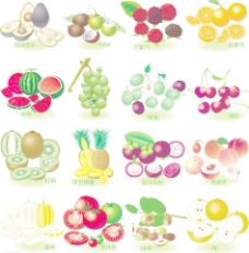 卡通菠萝韩国风格精美诱人水果矢量素材下图片