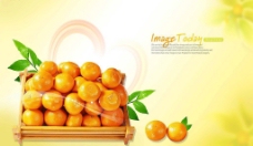 高清晰[新鲜柑橘]分层PSD图片
