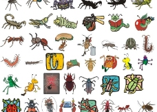 118种昆虫形态的矢量图图片