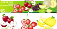 韩国 矢量水果图片