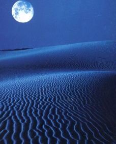 月下沙漠图片