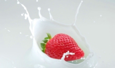 牛奶与草莓精品图片素材