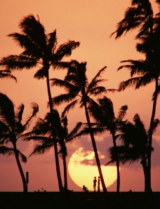 夏威夷风情图片