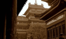 大智禅寺图片