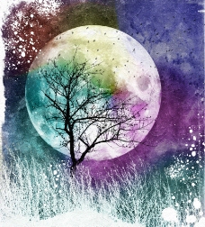 精美的月桂树PSD图片